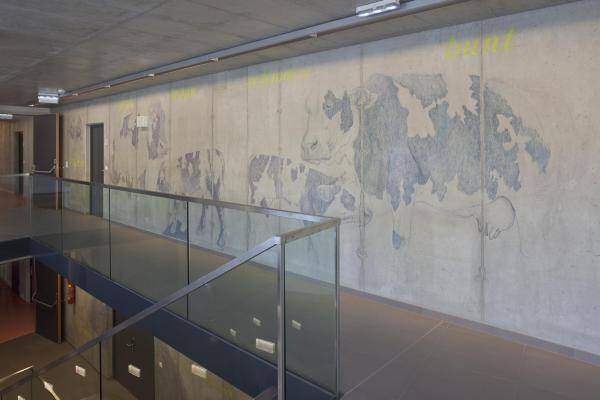 ©Studio Andrew Phelps ©Studio Andrew Phelps