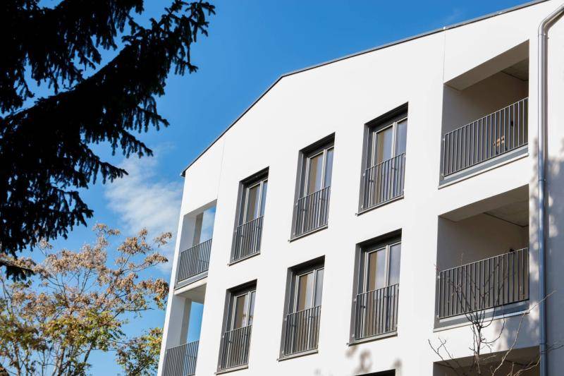 Bäume im Kontrast zur weißen Fassade, die in der Sonne fast leutend wirkt. Bäume im Kontrast zur weißen Fassade, die in der Sonne fast leutend wirkt.