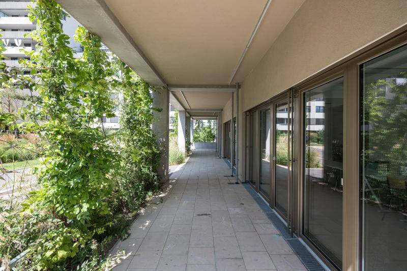 © Daniel Hawelka © Daniel Hawelka