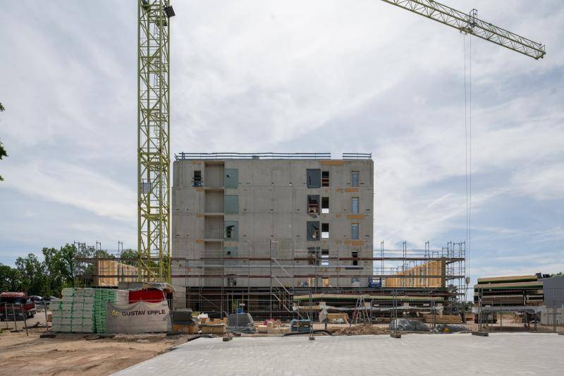 Max Leitner Max Leitner