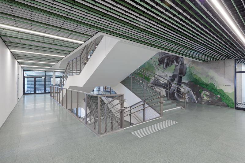 Das Treppenhaus. Bodenbelag mit grauen Steinplatten, Treppengeländer in Edeltahl. Decke mit grün, weißen Lamellen verkleidet. Die Treppenhauswand ist bemalt.