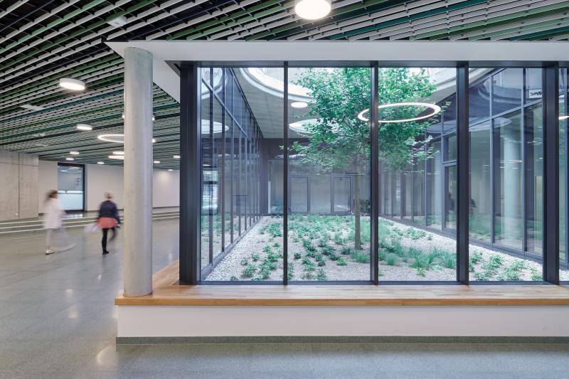 Blick vom Flur in einen kleinen Licht-Innenhof mit Kies und kleinen Bodendeckern sowie einem Baum. Um den rechteckigen Glasbau läuft eine Sitzfläche aus Holz.