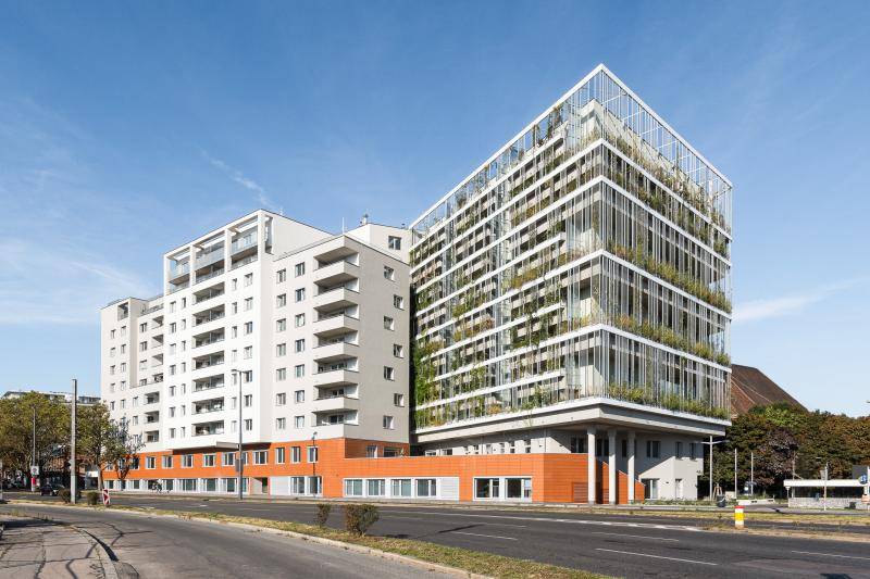 © Daniel Hawelka © Daniel Hawelka