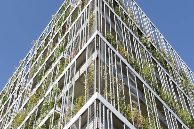 © Daniel Hawelka © Daniel Hawelka