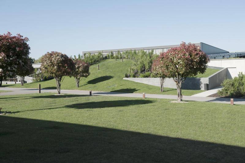 Es ist eine große Grünfläche zu sehen. Am Rand eines Weges stehen zwei kleine Bäume. Im Hintergrund ist eine ansteigende Wiesenfläche, unter der das Gebäude zum Vorschen kommt. Es ist eine große Grünfläche zu sehen. Am Rand eines Weges stehen zwei kleine Bäume. Im Hintergrund ist eine ansteigende Wiesenfläche, unter der das Gebäude zum Vorschen kommt.