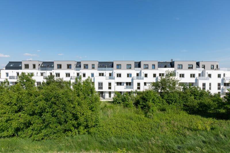 Das Gebäude, zu sehen hinter Sträuchern und kleinen Bäumen.