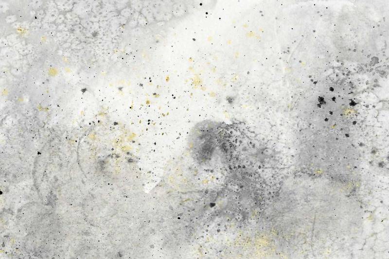 Das Gründerzeithaus in der Van-der-Nüll-Gasse