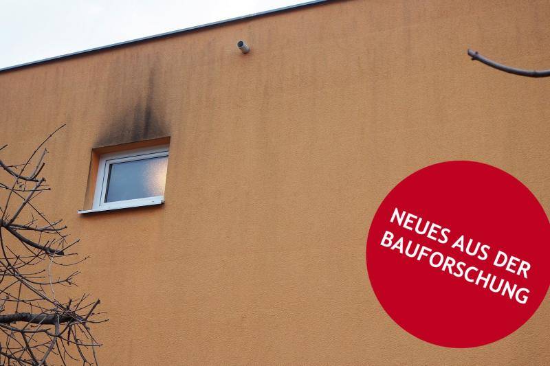 Veralgung an der Fassade